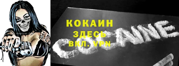 первитин Богданович