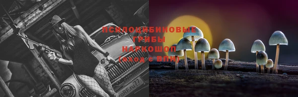 альфа пвп Богородицк