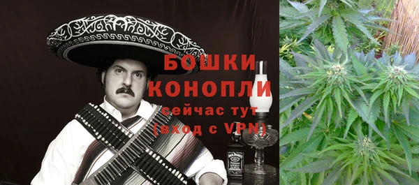 первитин Богданович