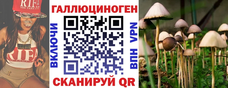 Псилоцибиновые грибы Magic Shrooms  Пятигорск 